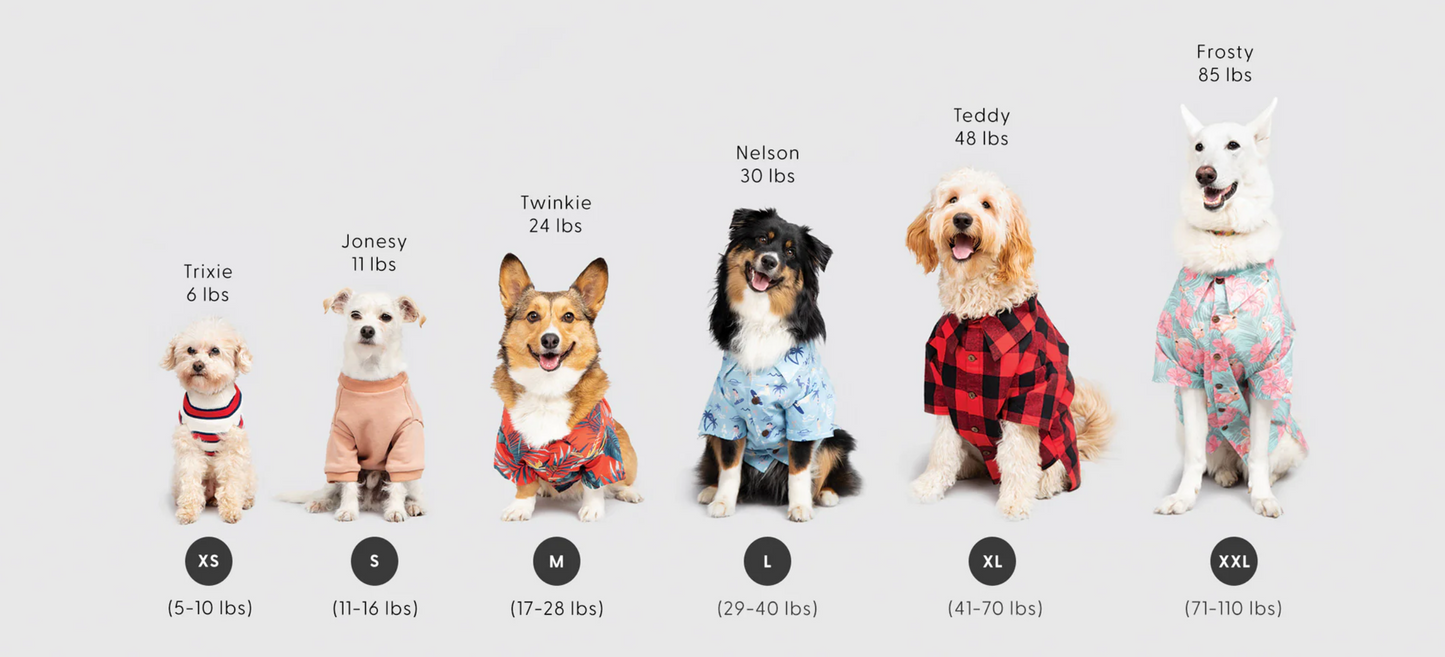 Good Thomas Dog Sizing