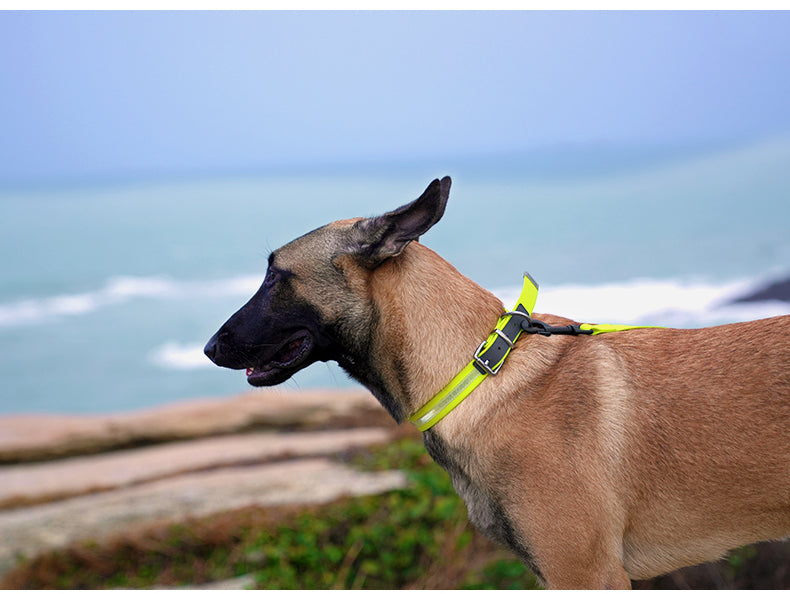Waterproof Reflective Dog Collar Yellow Beach