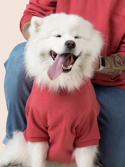 Perfect Dog Hoodie Pink Happy