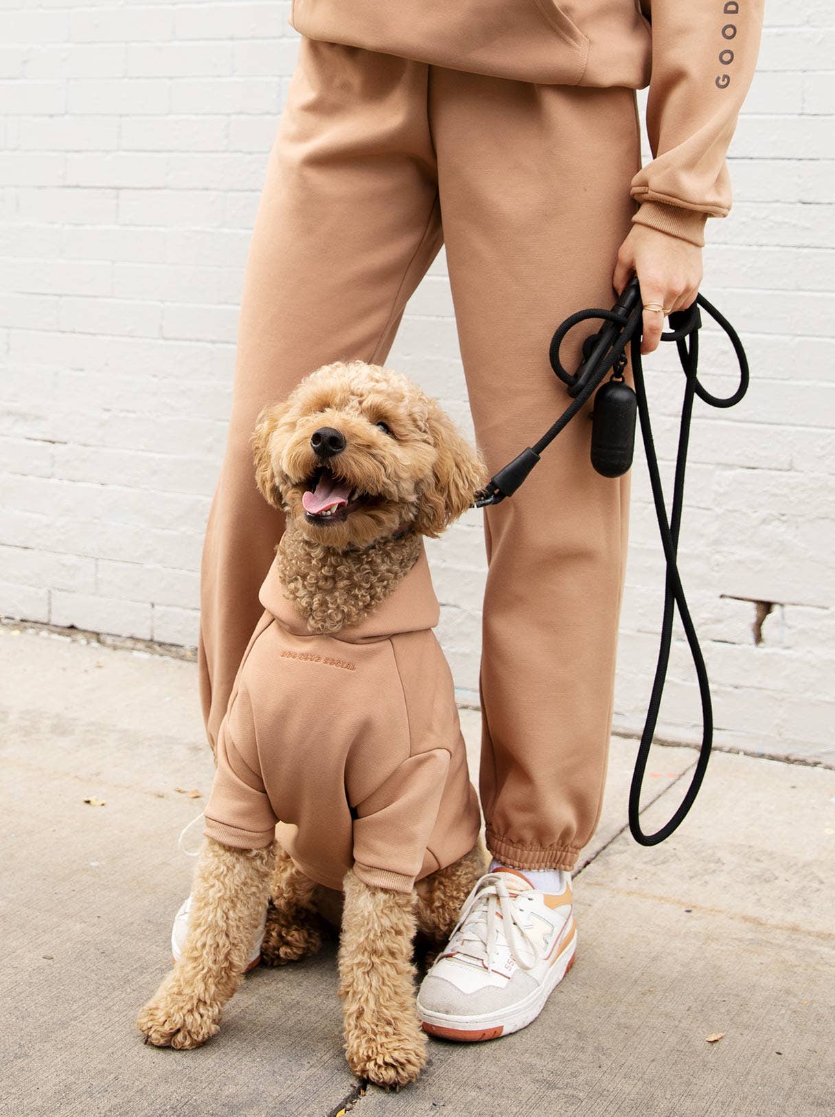 Dog Fleece Hoodie Sandstone Nude Demo