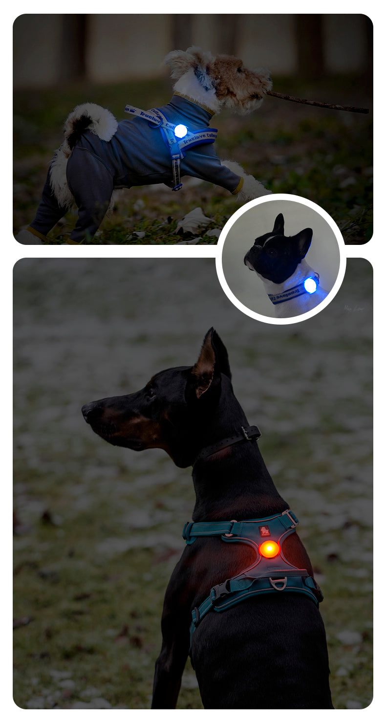 Rechargeable LED Pet Safety Light Dog Harness Collar Demo