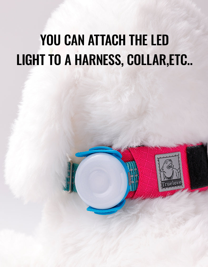 Rechargeable LED Pet Safety Light Collar Demo