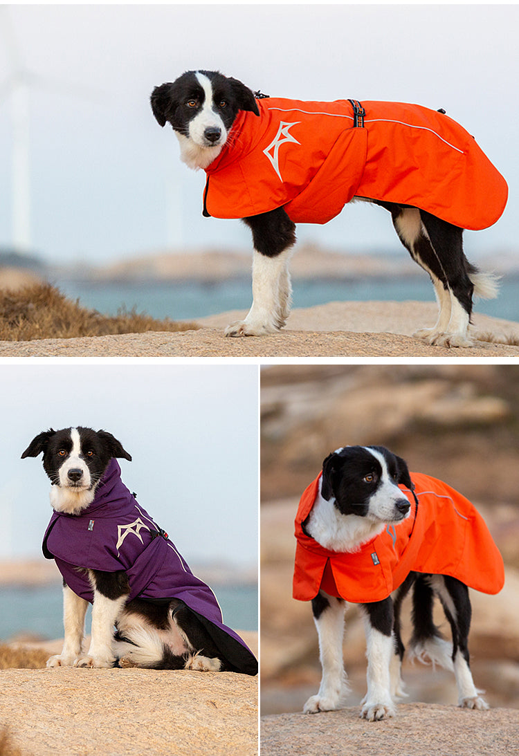 Windproof Winter Dog Coat Orange Purple