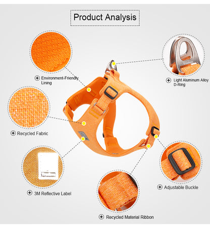 Eco-Friendly Dog Harness Features