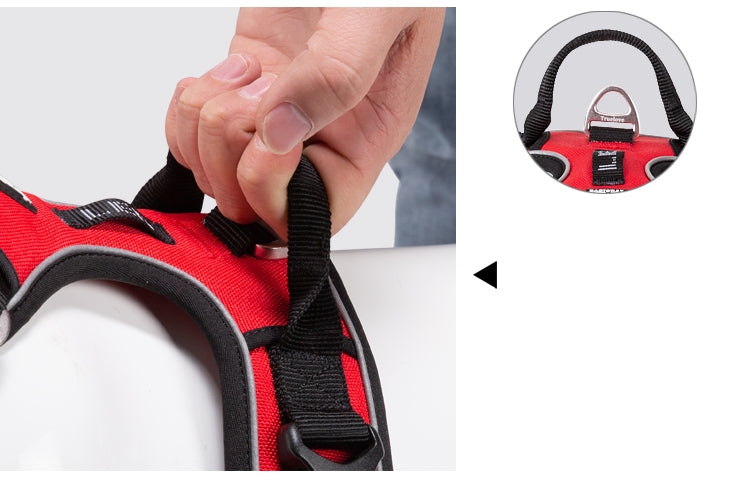 No-Pull Dog Harness Handle