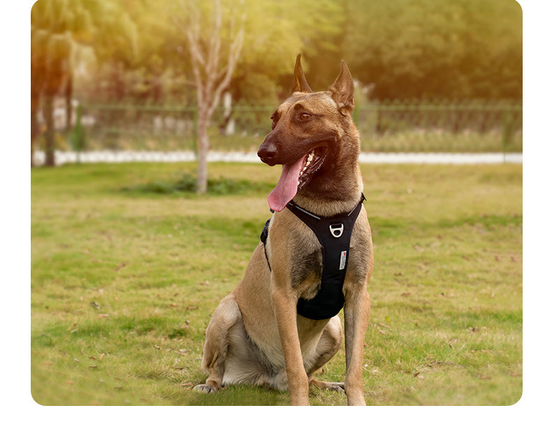 Premium No Pulling Dog Harness Black Front View