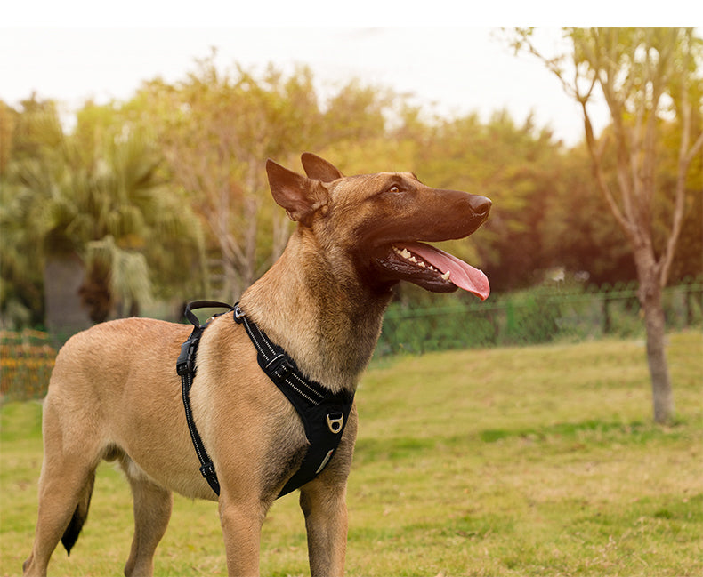 Premium No Pulling Dog Harness Black Side View