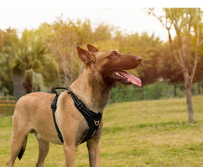 Premium No Pulling Dog Harness Black Side View