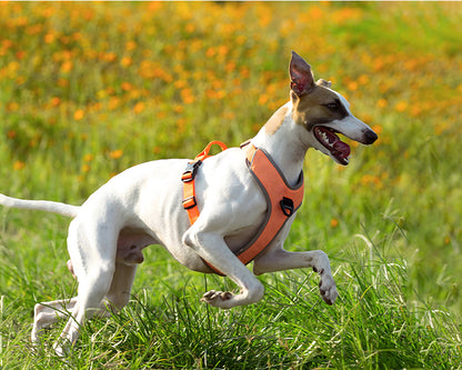 Reflective Dog Harness Orange Demo