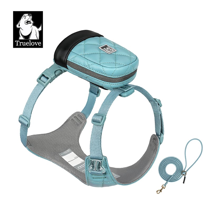 Eco-Friendly Dog Harness Leash Set Blue