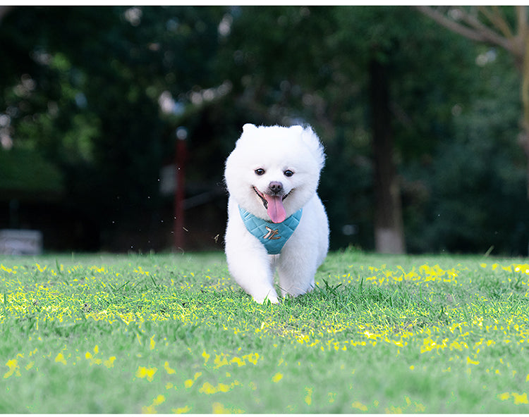 Eco-Friendly Dog Harness Leash Set Blue Grass Happy
