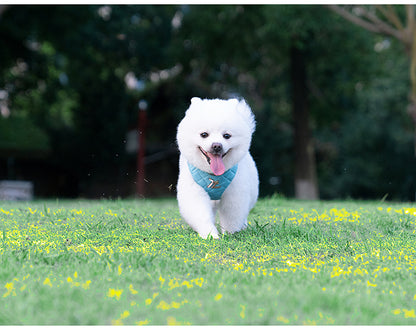Eco-Friendly Dog Harness Leash Set Blue Grass Happy