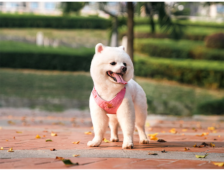 Eco-Friendly Dog Harness Leash Set Pink Demo