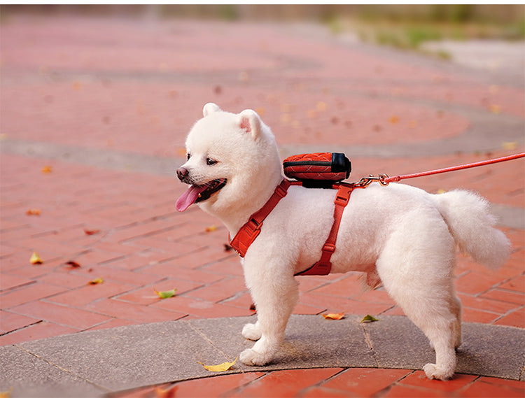 Eco-Friendly Dog Harness Leash Set Red Demo