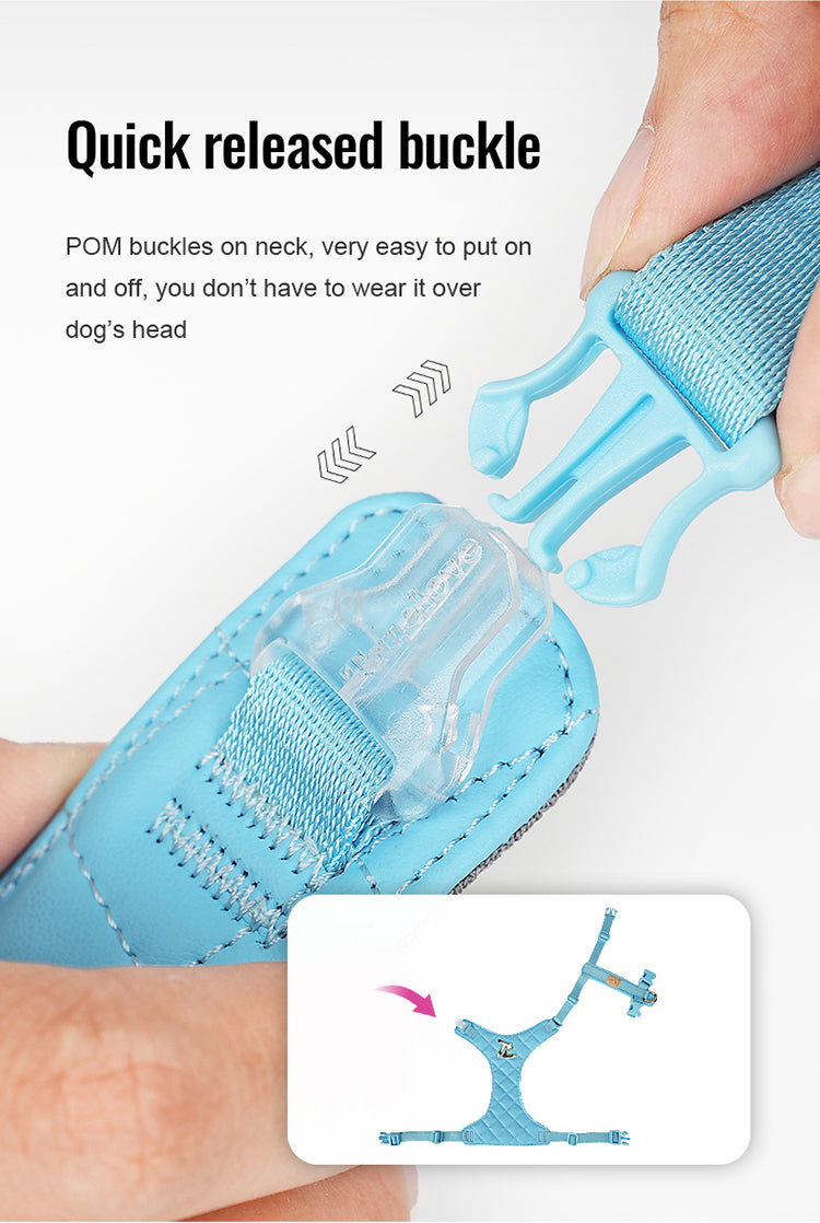 Eco-Friendly Dog Harness Leash Set Buckle