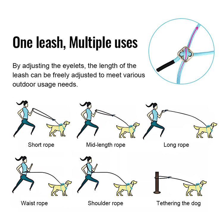 Eco-Friendly Dog Harness Leash Set Multiple Use Rope Tethering