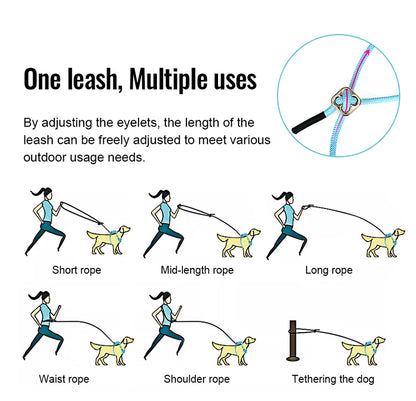 Eco-Friendly Dog Harness Leash Set Multiple Use Rope Tethering