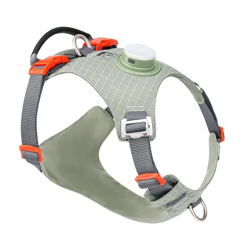 Innovative Dog Harness Safety Light GPS Holder Green