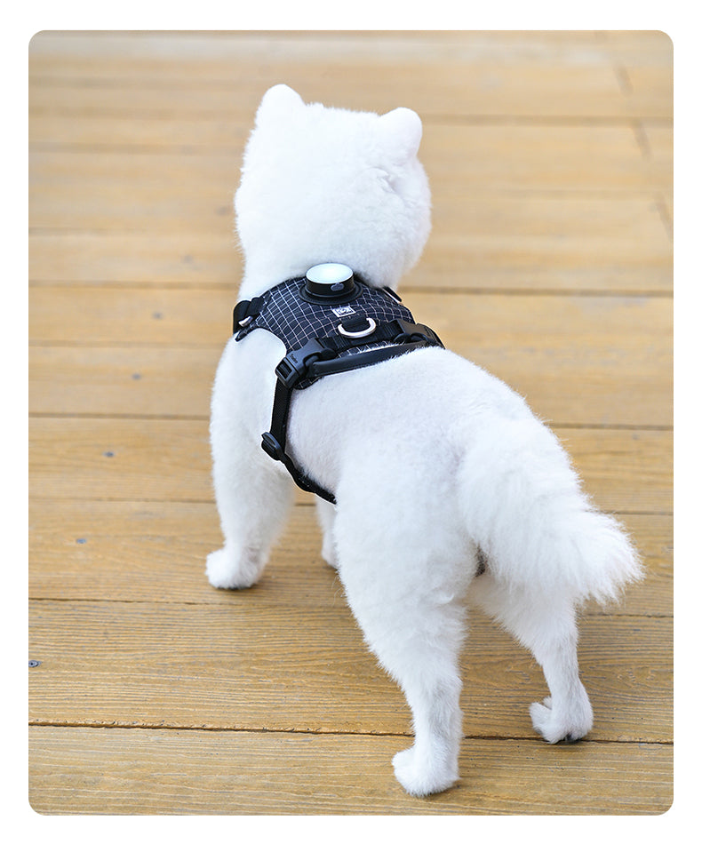 Innovative Dog Harness Safety Light GPS Holder Black Behind View