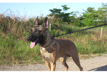 WATERPROOF DOG LEASH